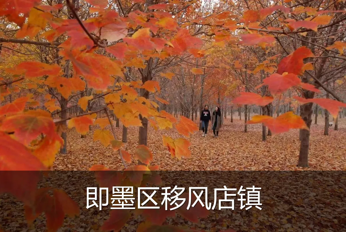 即墨区移风店镇