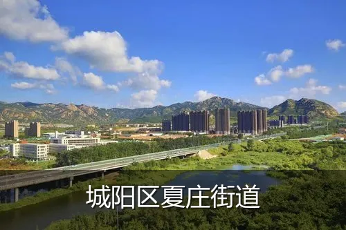 城阳区夏庄街道