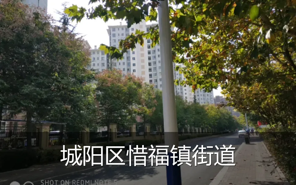 城阳区惜福镇街道
