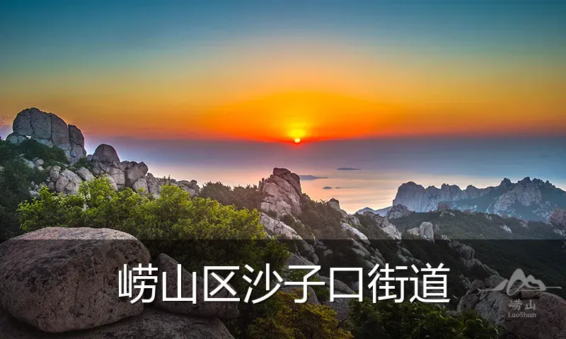 崂山区沙子口街道