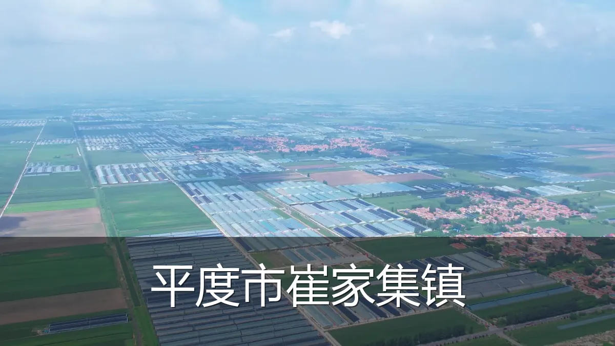 平度市崔家集镇