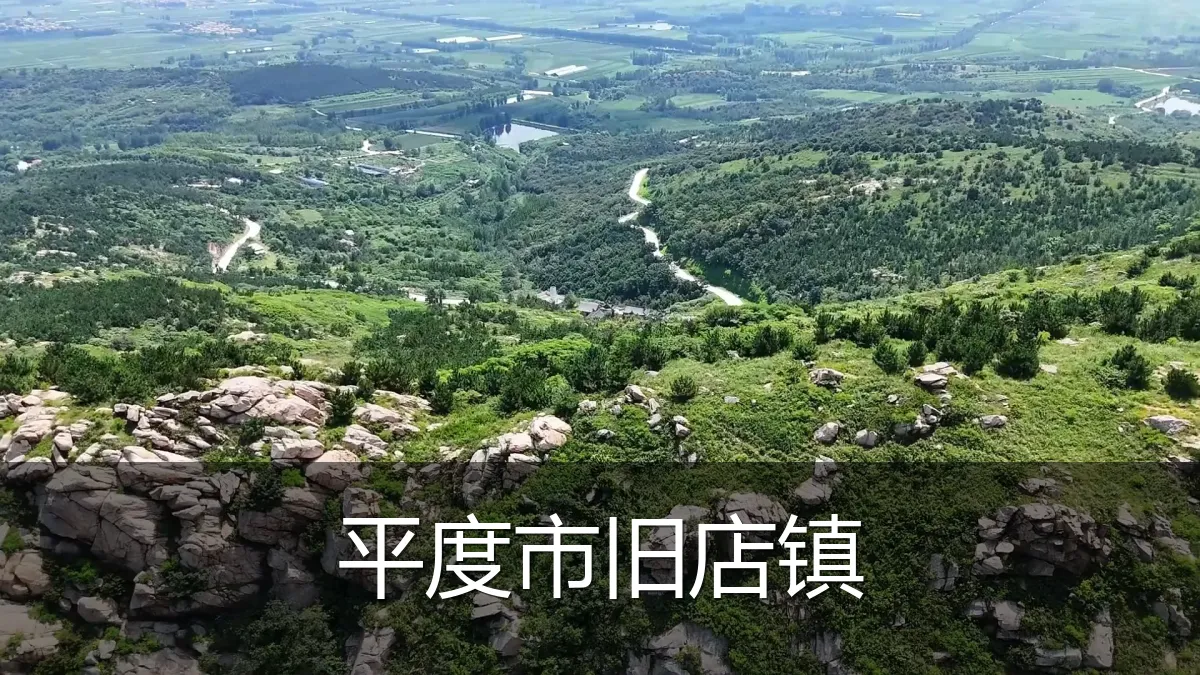 平度市旧店镇