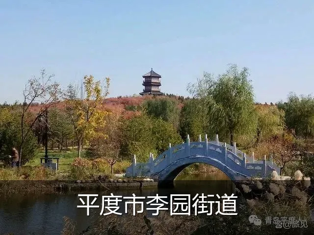 平度市李园街道