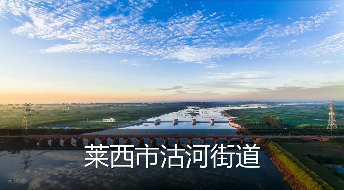 莱西市沽河街道