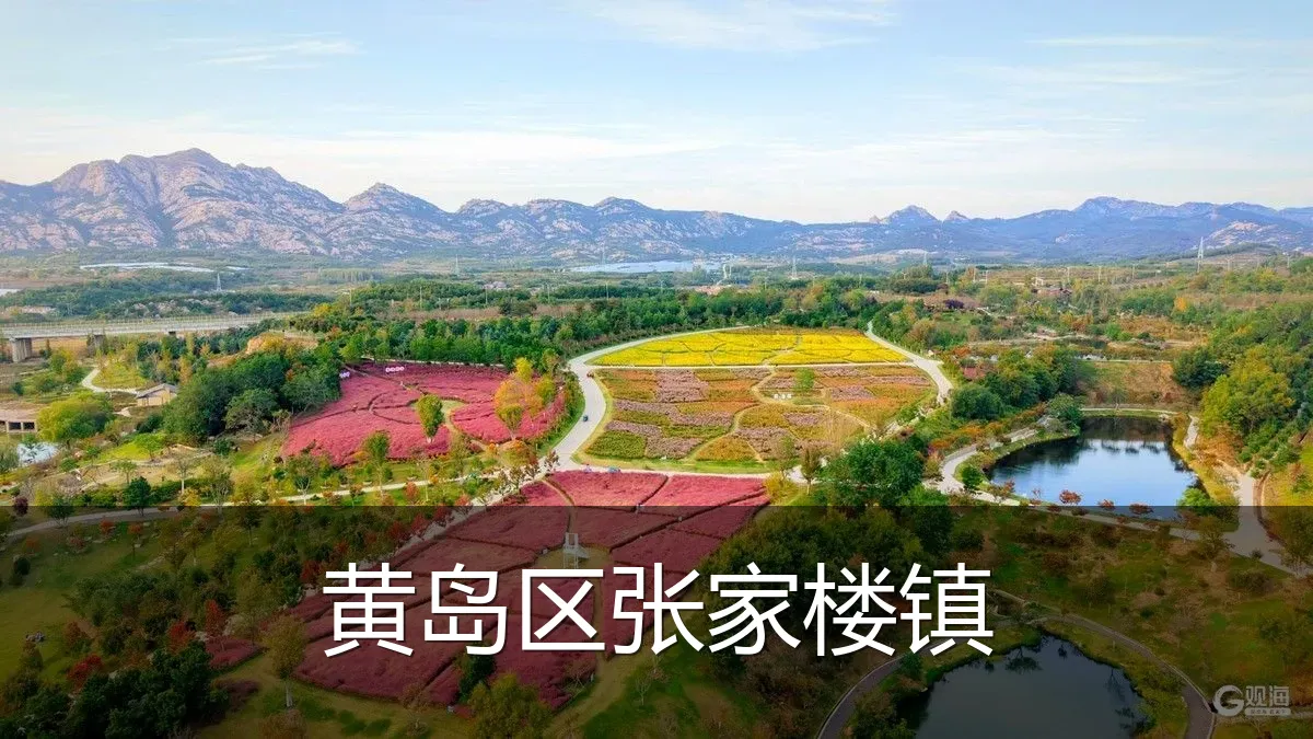 黄岛区张家楼镇