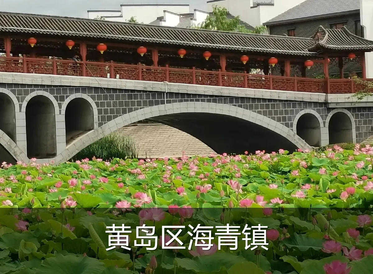 黄岛区海青镇