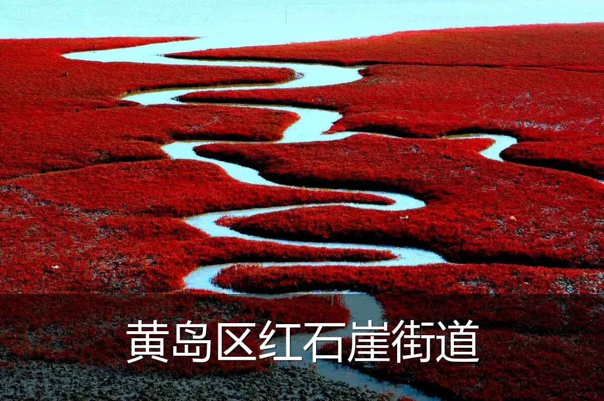 黄岛区红石崖街道